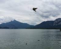 Mondsee