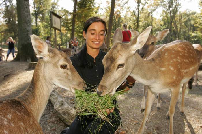 Bad Mergentheim - © Fauna Wildpark GmbH