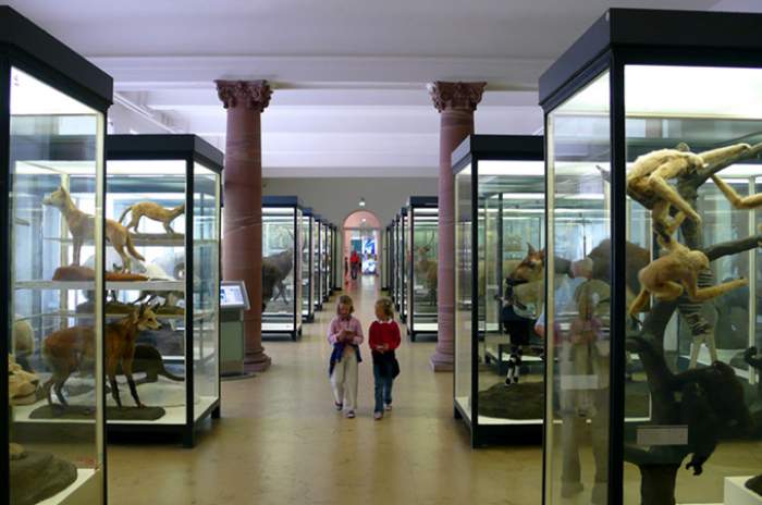 Frankfurt am Main - © Senckenberg Gesellschaft für Naturforschung