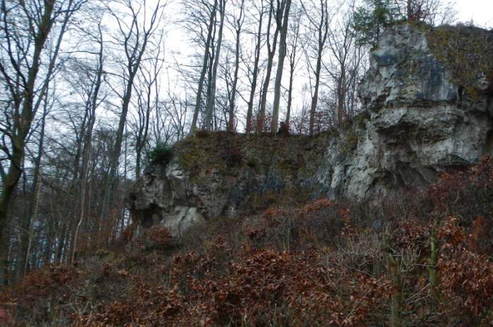 Herzberg am Harz - © doatrip.de