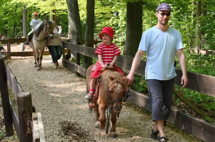 Sonnenbühl - © Freizeitpark Traumland