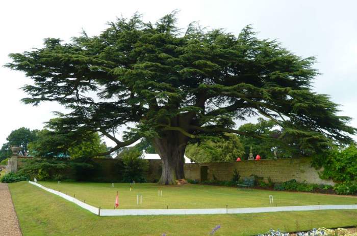 Canons Ashby - © doatrip.de