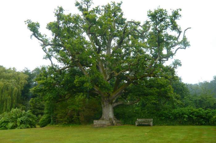 Lamberhurst - © doatrip.de