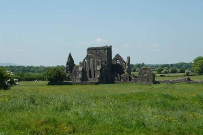 Cashel - © Alexander Henke